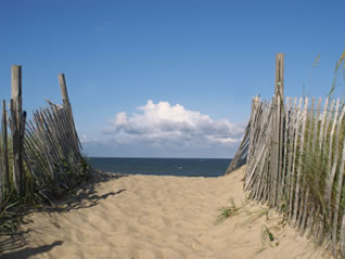 Beach Path